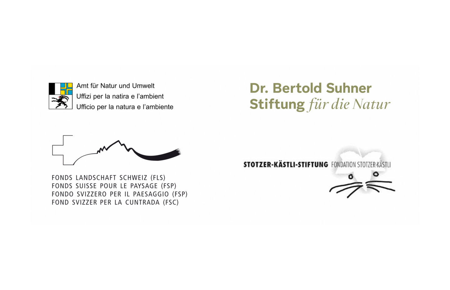 Stiftungen Sammlung
