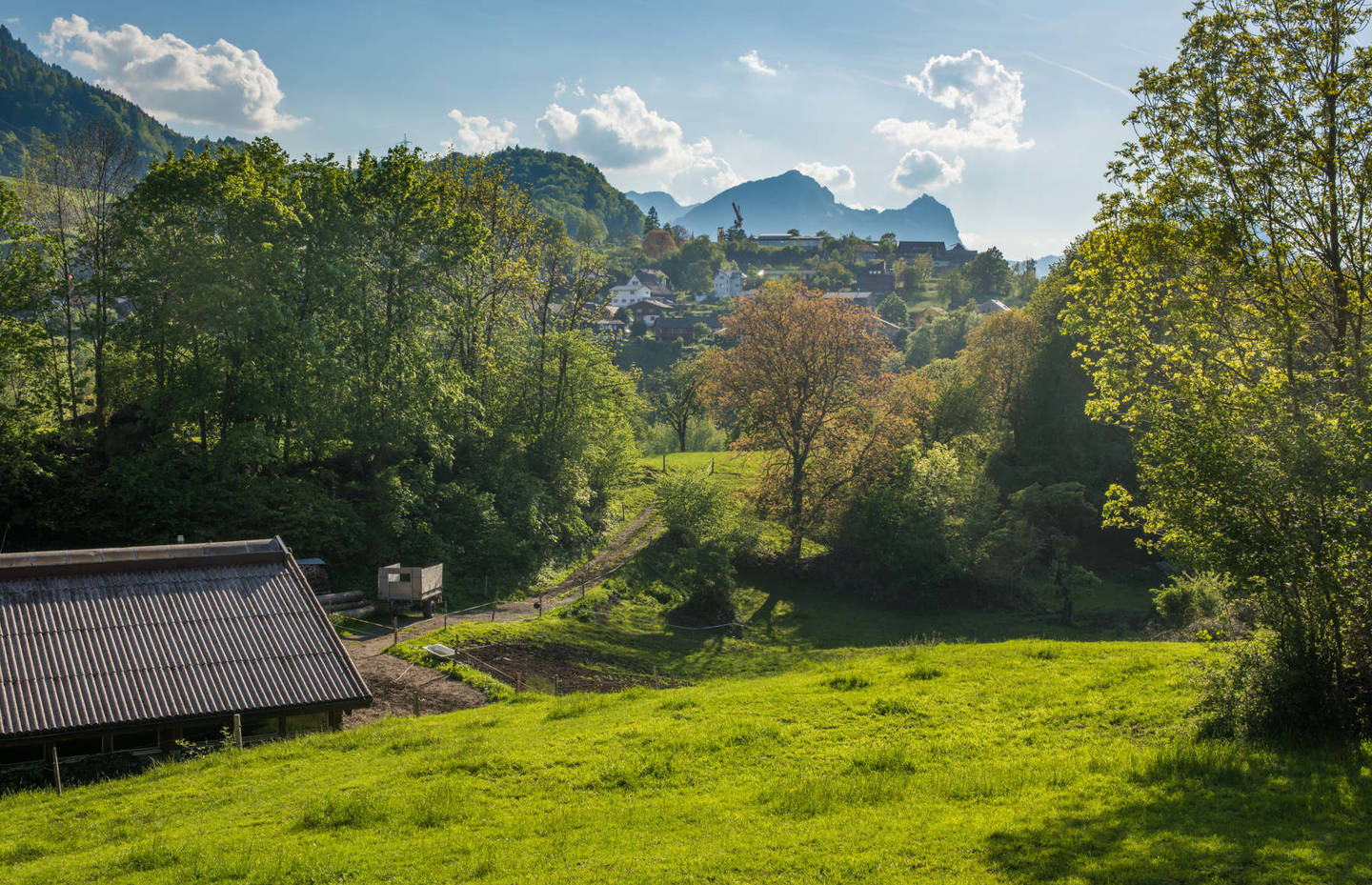 Filzbach neu