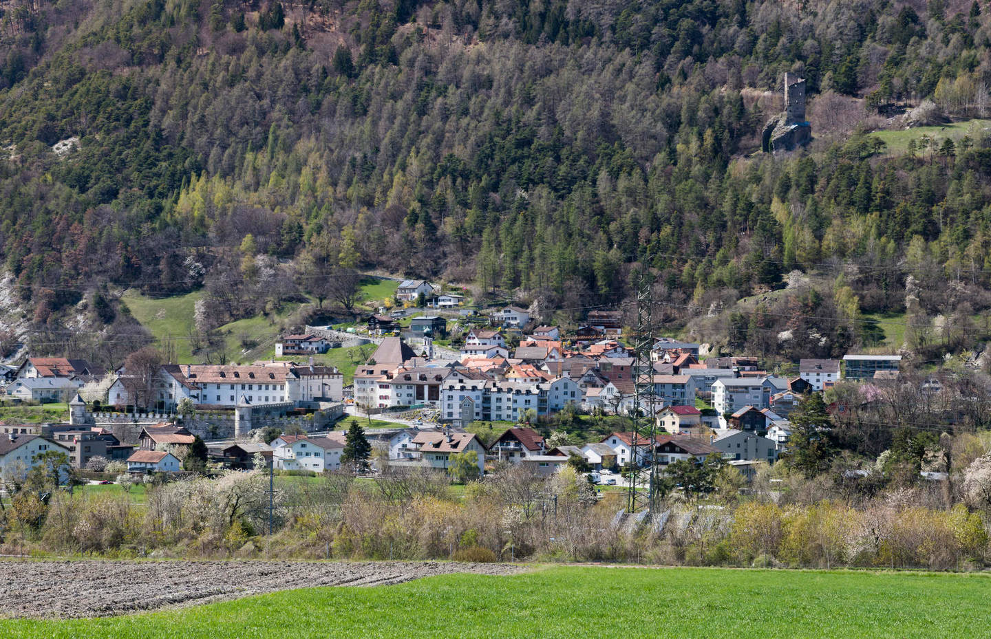 Haldenstein neu