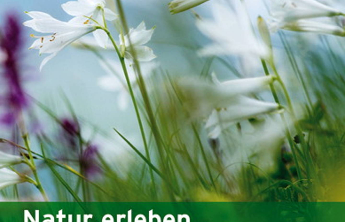 Natur erleben