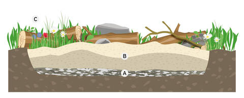 Grafik Sandlinse