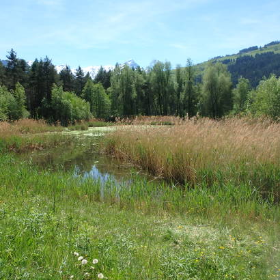 Munté